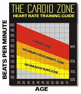 Weight Training Zones Pictures