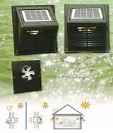 Pictures of Shed Solar Fan