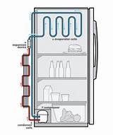 Images of Working Principle Of Refrigerator With Diagram
