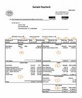 Images of Payroll Check Taxes