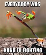 Everybody Wants Kung Fu Fighting