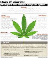 Is Medical Marijuana Legal In Michigan