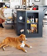Indoor Invisible Fences For Dogs Images