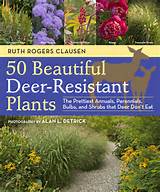 Landscape Plants Deer Resistant Images