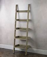 Ladder With Shelves