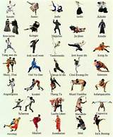 Chinese Martial Arts Kata Pictures