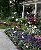 Images of Zone 6 Landscape Design