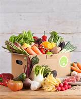 Fresh Food Meal Delivery Images