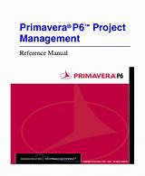 P6 Project Management Photos