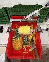 Pictures of Commercial Pineapple Peeler