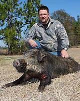 Pictures of Hog Hunting Outfitters In South Carolina