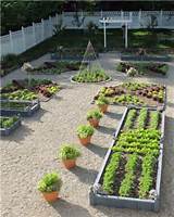 Pictures of Backyard Vegetable Garden Design