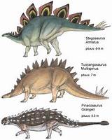 Dinosaur Fossil Experiments Images