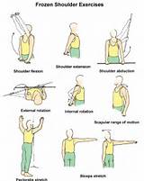 Fitness Exercises Neck And Shoulder Stretches Photos