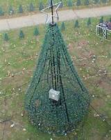 Images of Pvc Pipe Outdoor Christmas Tree