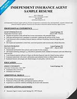 Pictures of Insurance Agent Resume Samples