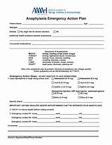 Allergy And Anaphylaxis Action Plan And Medication Orders Images