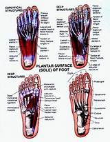 What Doctor To See For Foot Pain Images