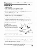 Theory Of Evolution Worksheet Pictures