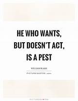 Pictures of Pest Quotes