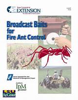 Broadcast Baits For Fire Ant Control Images