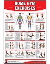 Exercise Program You Can Do At Home