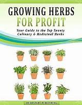 Growing Garlic For Profit Book Pictures