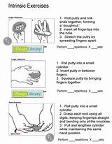 Intrinsic Hand Muscle Exercises Images