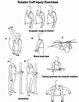 Exercises Rotator Cuff Tear Images