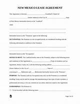 New Me Ico Residential Lease Agreement Form