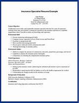 Images of Life Insurance Agent Resume Objective