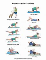 Low Back Muscle Strengthening Exercises Images
