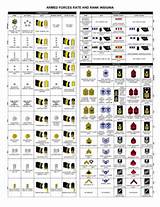 Pictures of Ranks Of Us Military In Order