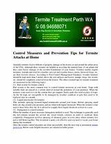 Termite Treatment Bangalore Images