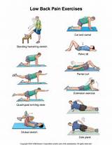 Images of Lower Back Pain Weak Core Muscles