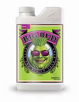 Advanced Nutrients Big Bud Liquid Photos