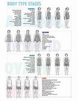 Body Type Workout Quiz Pictures