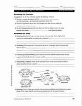 Theory Of Evolution Skills Worksheet Pictures