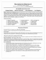 Images of Commercial Insurance Underwriter Resume