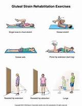 Gluteus Medius Muscle Strengthening Exercises Photos