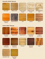 Types Of Wood Materials Photos