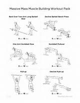 Muscle Mass Workout