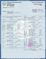 Pictures of Army School Transcripts