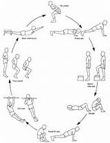 Images of Fitness Circuit Training