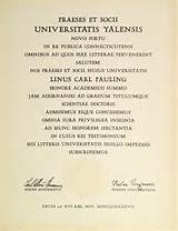 Graduate Degree Yale Pictures