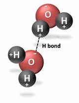 Define Hydrogen Bond
