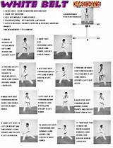 Images of Taekwondo White Belt Test