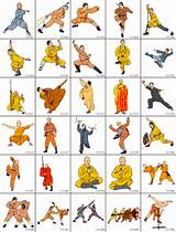 Images of Kung Fu Fighting Styles List