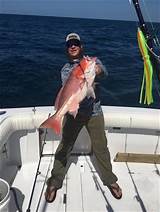 Fishing Charters In Panama Pictures