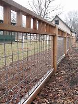 Photos of Cattle Panel Fence Ideas
